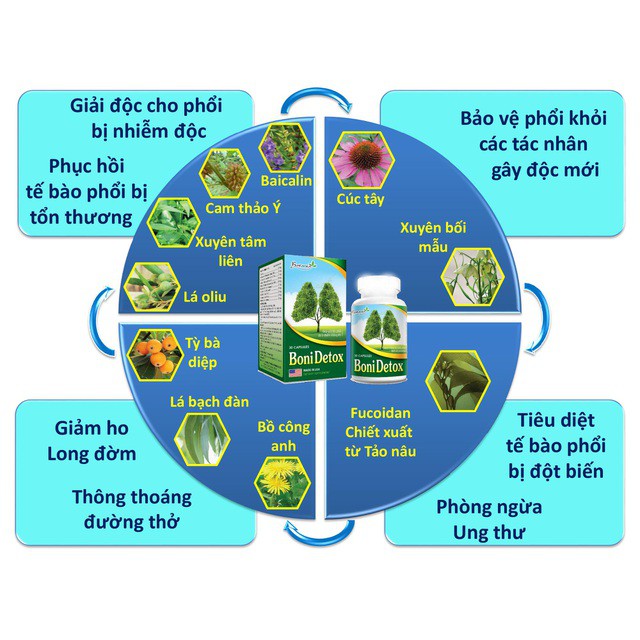 BoniDetox – Tăng cường miễn dịch hệ hô hấp, giảm ho khó thở, hen suyễn, viêm phổi, viêm phế quản Boni Detox