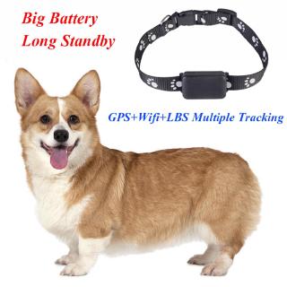 Thiết Bị Định Vị Gps Cho Thú Cưng