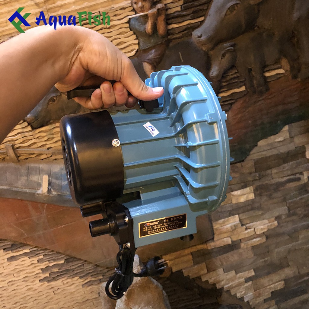 Máy sủi khí oxy Resun GF250 (máy sủi cánh quạt chuyên dụng cho bể hải sản)