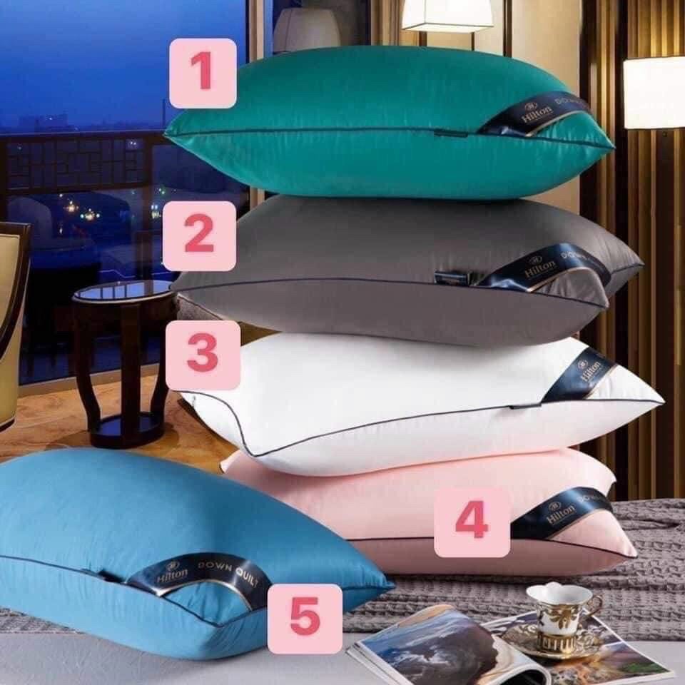 Ruột gối Hilton chuẩn loại1 48x74cm, Ruột gối HILTON GARDEN chuyên dùng cho khách sạn và homestay (2 chiếc hàng có sẵn )