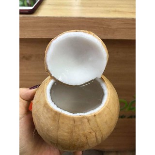 5 quả sọ dừa con bến tre 500 - 600g