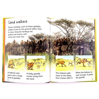 Bộ nhập 10q - Usborne Biginners Animals
