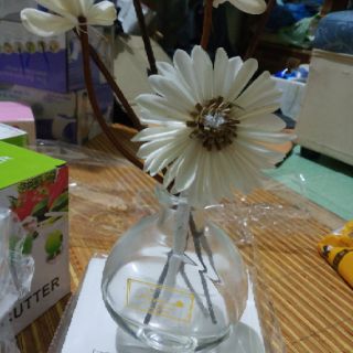 Tinh dầu thơm để phòng siêu thơm