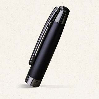 Bút Máy Picasso 920F
