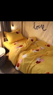 Compo 2 set chăn ga gối poly