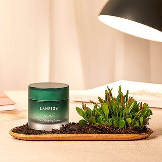 Mặt nạ ngủ rau má Laneige Cica Sleeping Mask  60ml