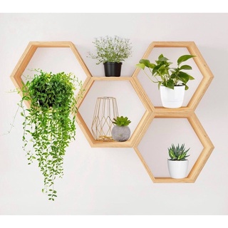 Kệ tổ ong đa năng có 3 size, Kệ lục giác decor phòng phong cách Hàn Quốc (1 Kệ) - Decor Fancy