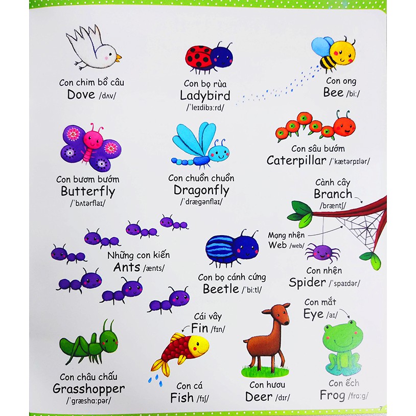 Sách cho bé - Cuốn Sách Từ Vựng Đầu Tiên Của Tôi - My first word book trọn bộ 6 cuốn