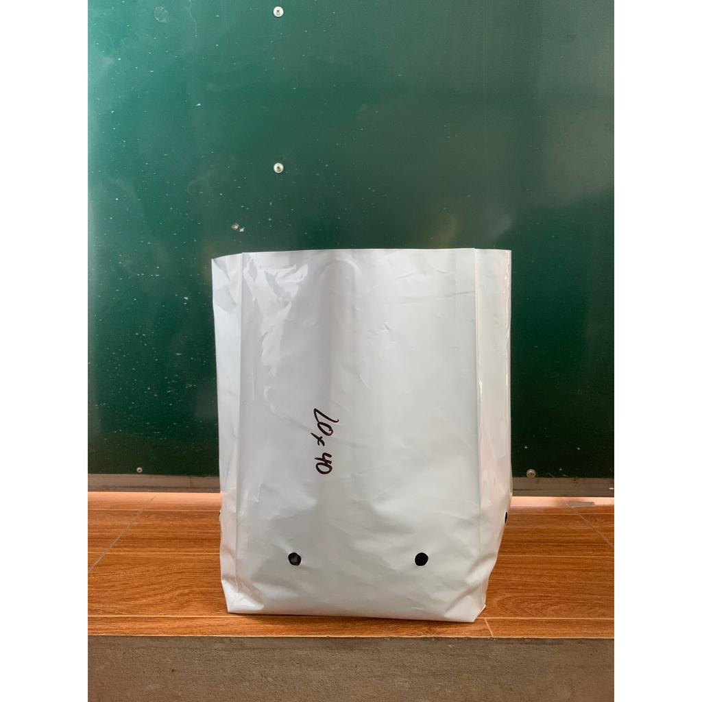 TÚI PE TRỒNG DƯA LƯỚI ,DƯA LEO, CÀ CHUA...(LƯỚI CHE NẮNG, DÂY LÀM GIÀN LEO, BẠT PHỦ NGĂN CỎ...)