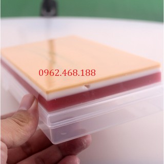 Mô hình tiêm tĩnh mạch
