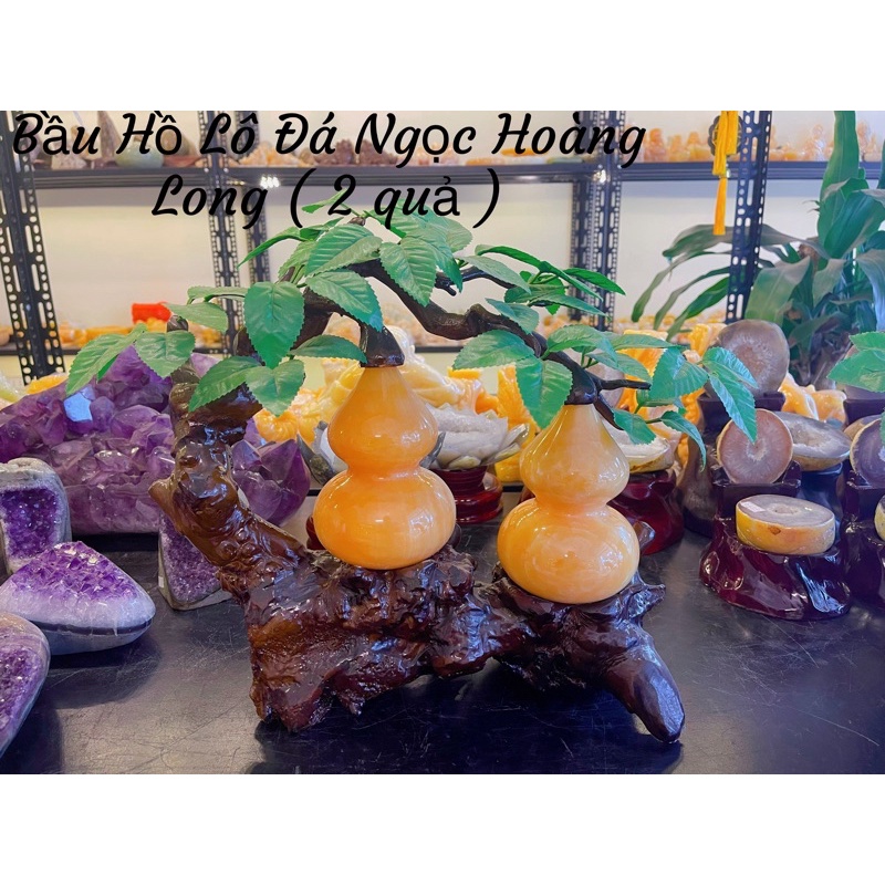 Cây Bầu Hồ Lô Đá Ngọc Hoàng Long Phong Thuỷ