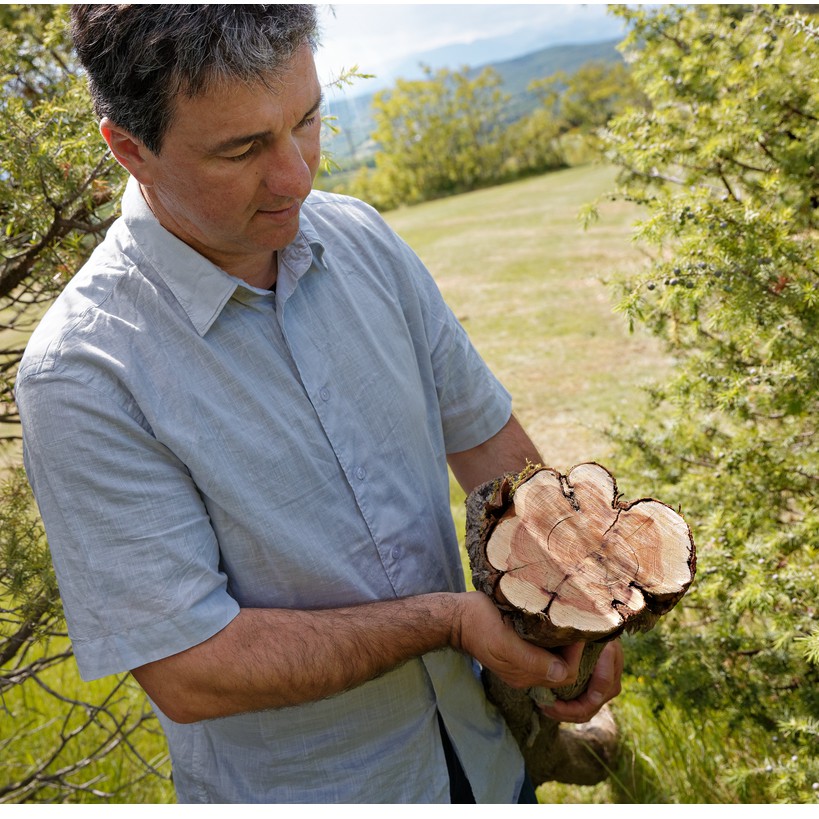 Sữa Rửa Mặt Tẩy Tế Bào Chiết Xuất Gỗ Cây Bách Xù 150ml L'Occitane | BigBuy360 - bigbuy360.vn