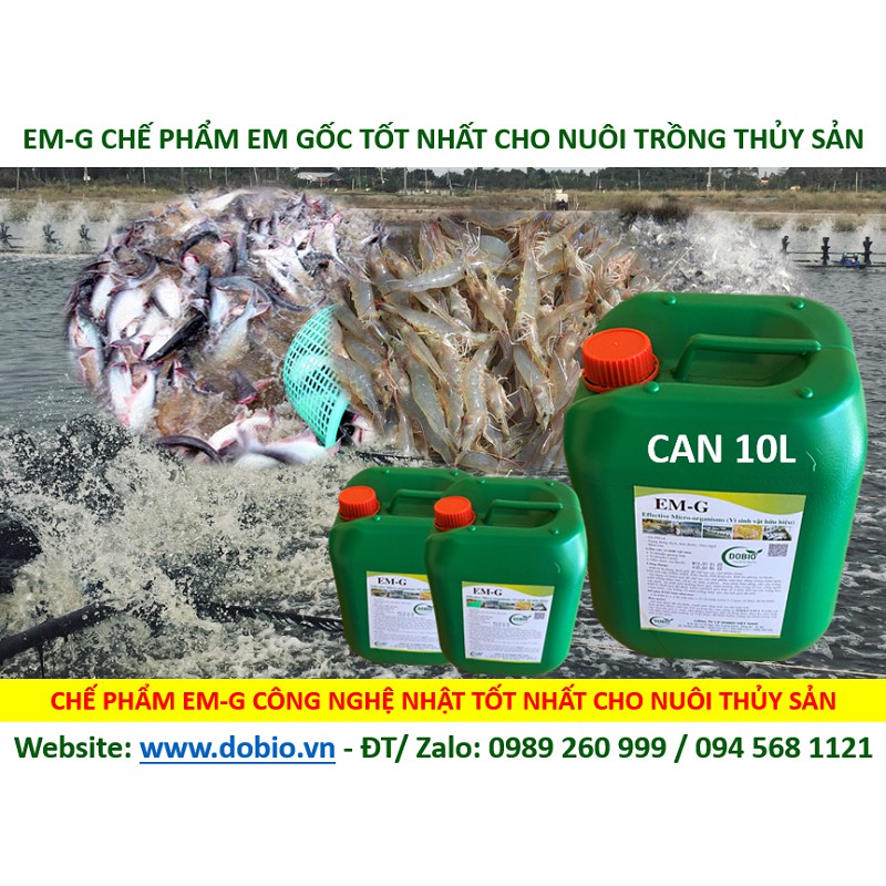 EM Gốc Can 10 lít, Chế Phẩm Vi Sinh EM Gốc, EM1, Địa Chỉ Cung Cấp Mua Bán Chế Phẩm Vi Sinh EM Gốc