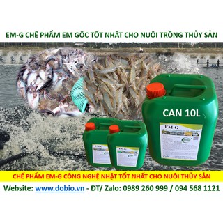 EM Gốc Can 10 lít, Chế Phẩm Vi Sinh EM Gốc, EM1, Địa Chỉ Cung Cấp Mua Bán Chế Phẩm Vi Sinh EM Gốc