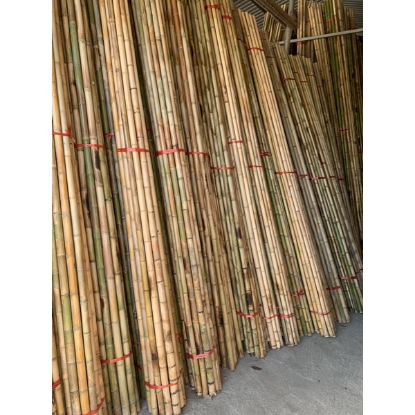 Tre trúc trang trí, tre trúc ốp nhà hàng, trúc 3m đk 3 cm
