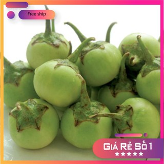 Hạt giống cà pháo xanh cao sản -2gr LUCKY.VN