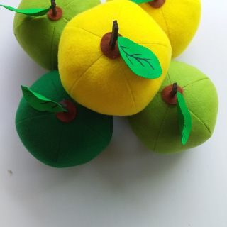 Quả bưởi đồ mầm non