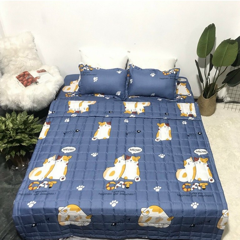 Bộ chăn hè ga gối tặng 1 vỏ gối ôm poly cotton set 5 món ( được chọn mẫu)