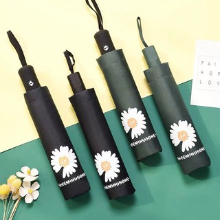 [FREESHIP] Ô Hoa Cúc, Dù Hoa Cúc Gấp Gọn