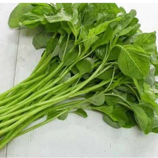 Hạt Giống Rau Dền Xanh ( 20g )