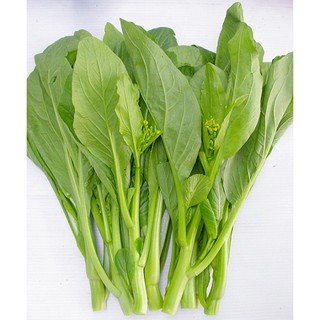 Combo 2  gói hạt giống cải ngòng