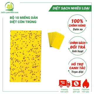 Bộ 10 Miếng Dán Diệt Côn Trùng | Bẫy Dính Côn Trùng | Miếng Dán Ruồi Vàng, Nhện, Bọ, Bướm Loại 20x25cm