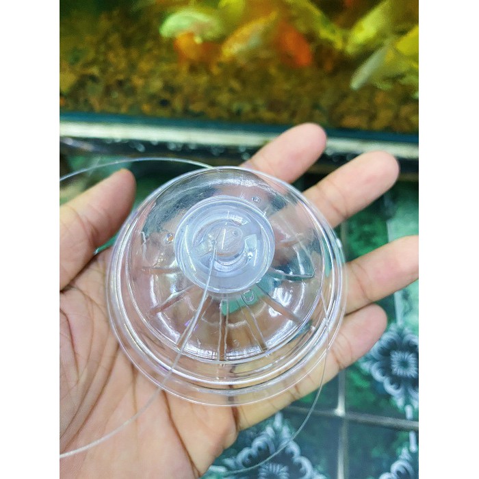 BẪY ỐC SÊN HỒ CÁ BẰNG NHỰA HỒ CÁ ĐƯỜNG KÍNH 6CM