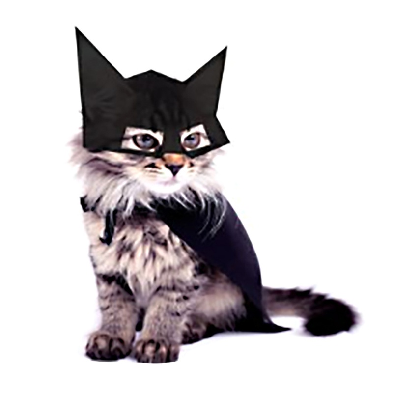 Dơi May Mắn Màu Đen Có Thể Điều Chỉnh Hóa Trang Halloween Cho Thú Cưng