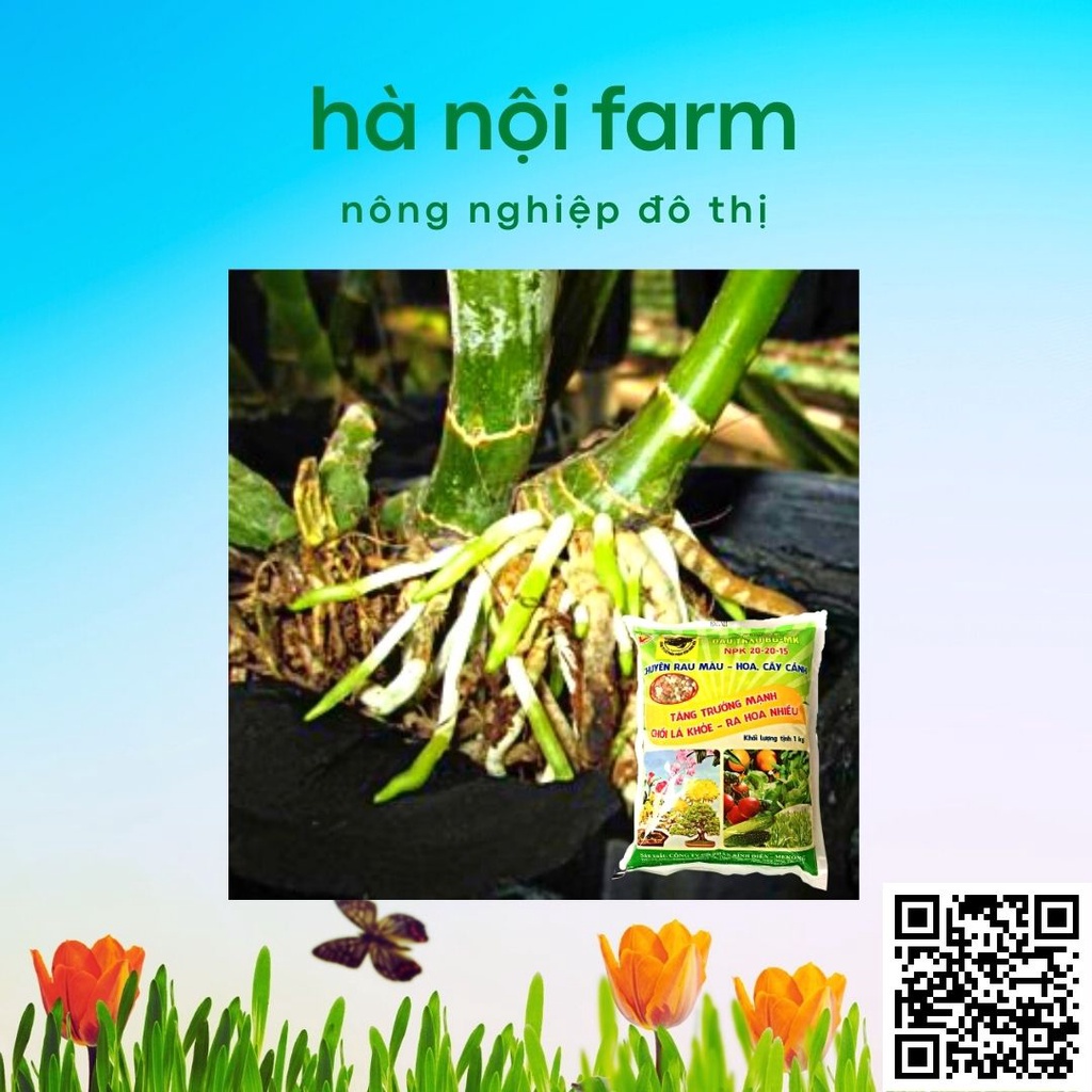 Phân bón đầu trâu 20-20-15, dùng cho rau màu, hoa kiểng gói 1kg