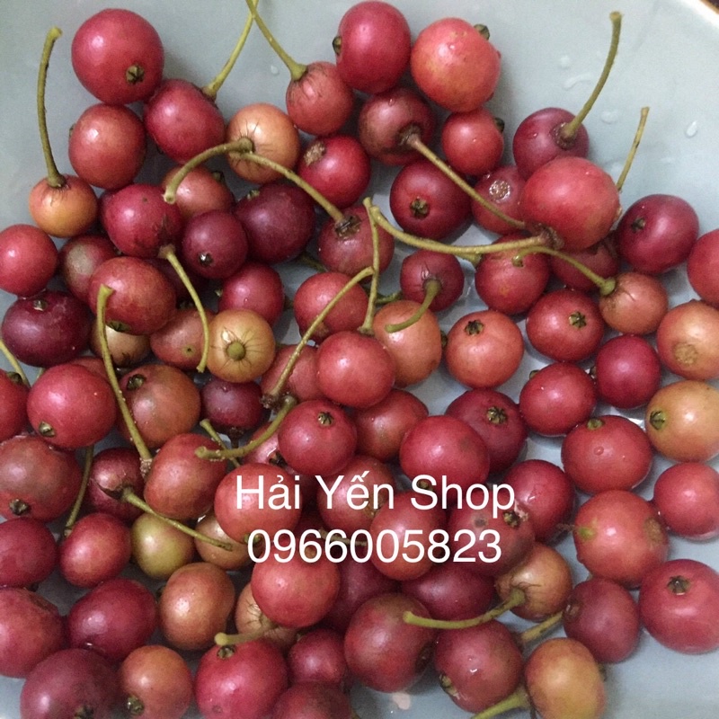 100g Quả Trứng Cá thơm ngon