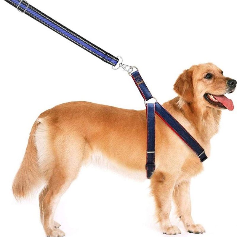 Sa Set 70 Móc Khóa Hợp Kim Hình Tôm Hùm Dễ Thương