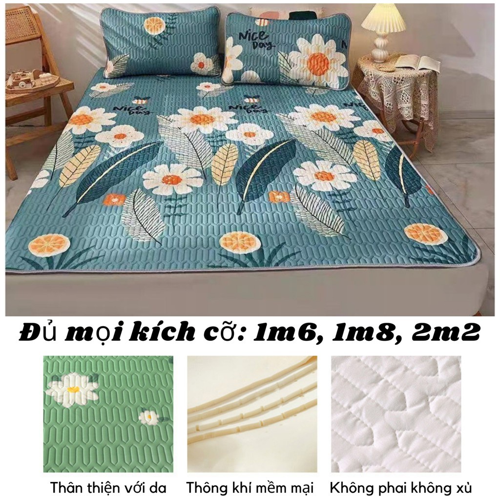Chiếu Điều Hoà Cao Su Non 5D Mát Lạnh, Chiếu Cao Su TenCel Mềm Mịn Nhập khẩu giá rẻ