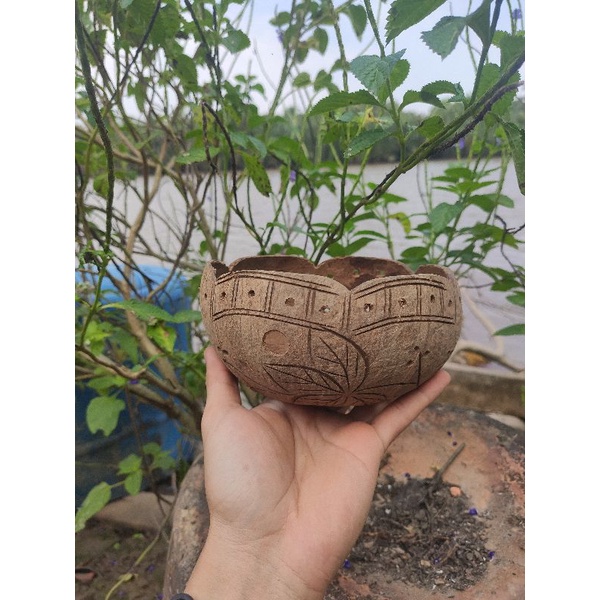 Chậu Trồng Cây Gáo Dừa Hình Cánh Hoa | Chậu Trồng Lan Hình Cánh Sen