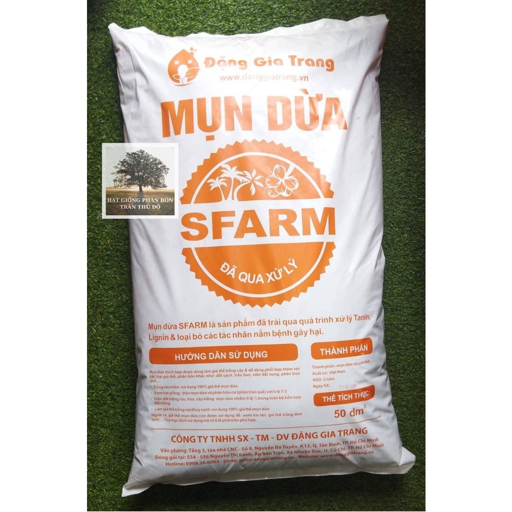 MỤN DỪA ĐÃ QUA XỬ LÝ SFARM