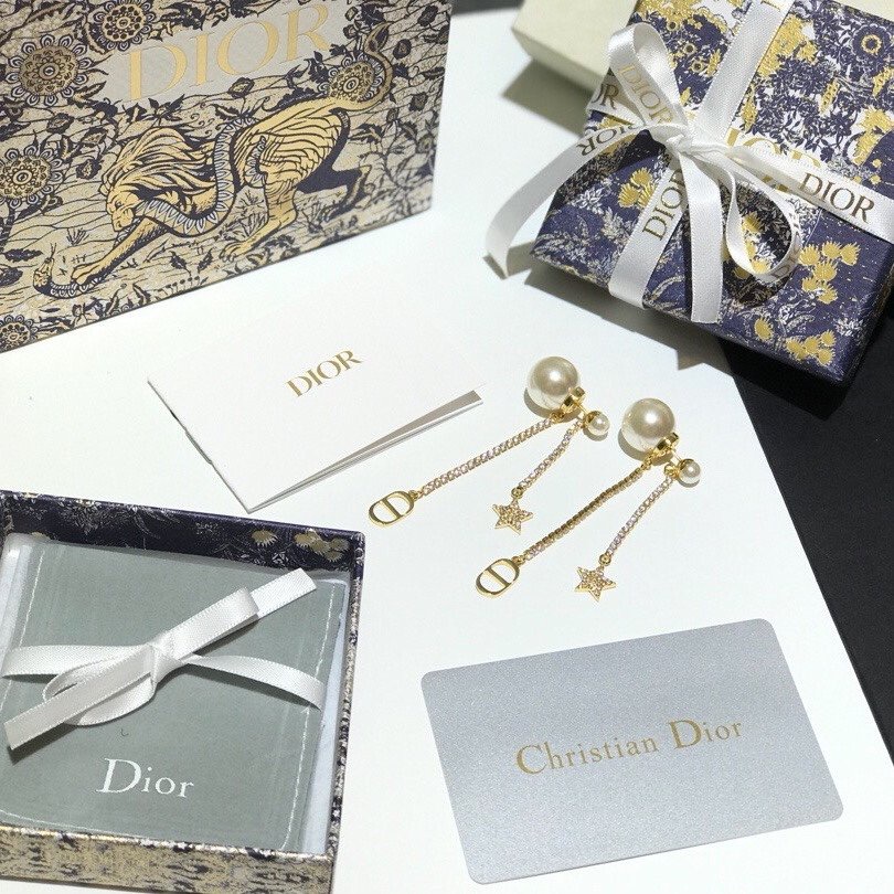 Bông Tai Dior Bằng Thép Titan Hình Chữ CD Thời Trang Cho Nữ