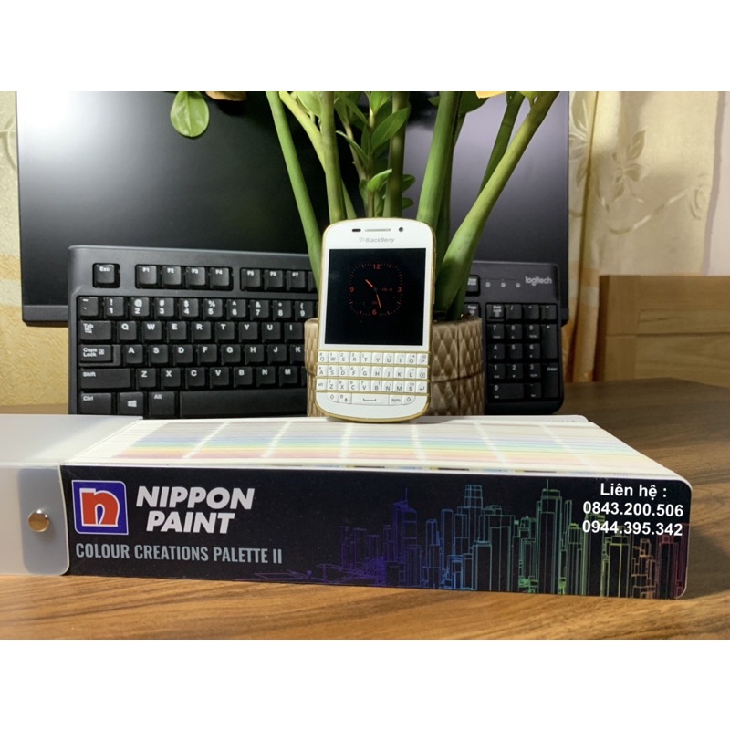 Cây quạt màu sơn Nippon