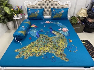 Drap thun lạnh 5D cao cấp mẫu công ( 5 màu)