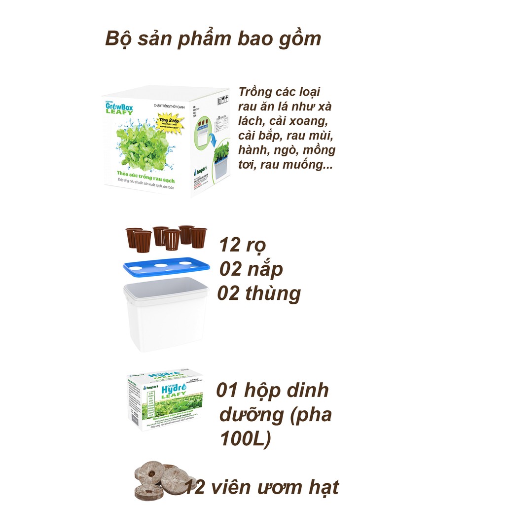 Bộ 2 thùng trồng rau ăn lá thủy canh- tặng 2 hủ dinh dưỡng SẠCH -AN TOÀN+ viên nén ươm hạt