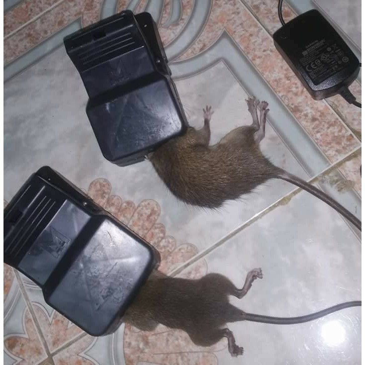 Bẫy chuột thông minh siêu tiện lợi
