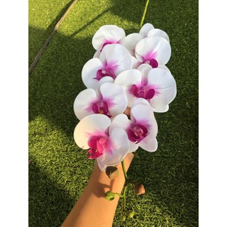 CÀNH HOA LAN HỒ ĐIỆP 9 BÔNG. 50k