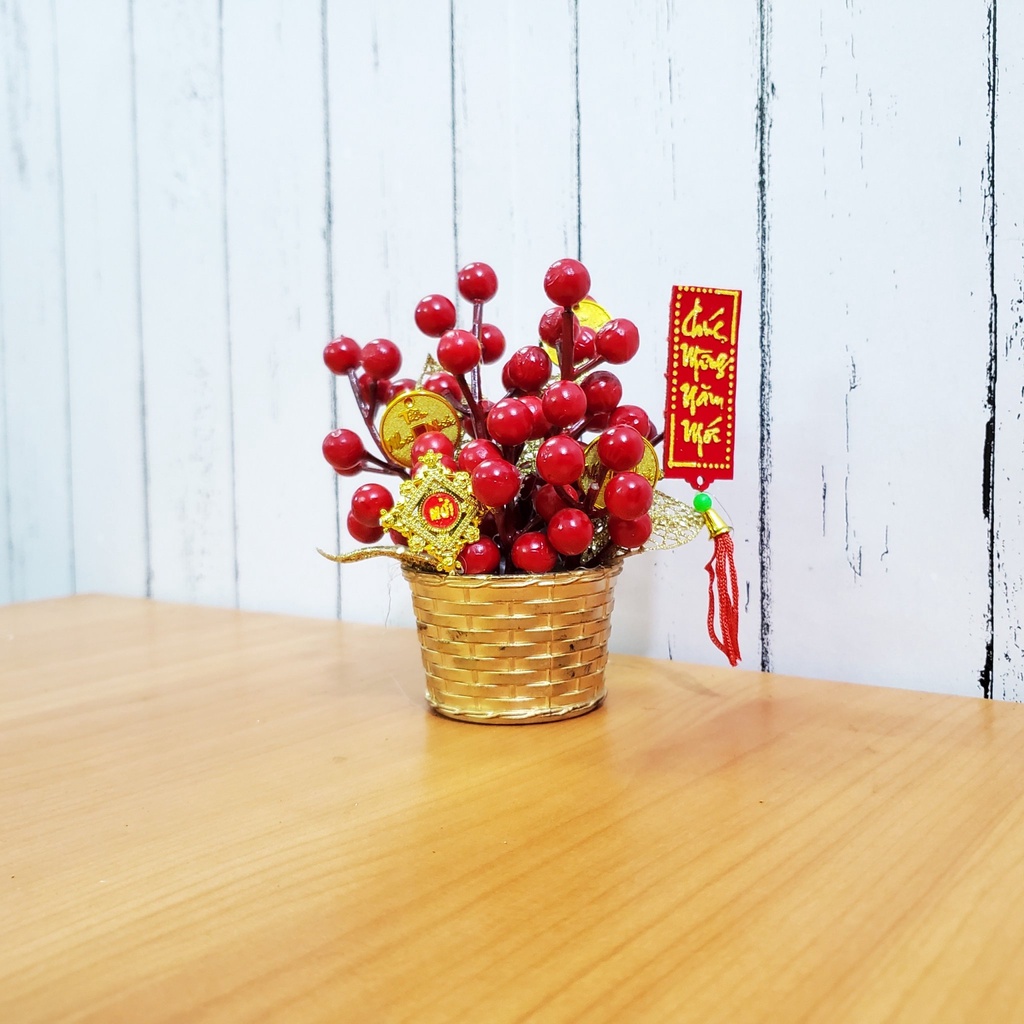 Chậu đào đông nhí cao 15cm để bàn trang trí tết