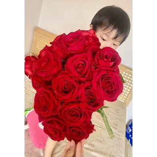 Cành hoa hồng nhung đỏ giả