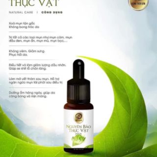 Nguyên Bào Thực Vật