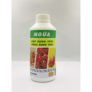 NGỪA HỐP BỤNG TRÁI RỖNG BỤNG TRÁI CHAI 500 ML CHUYÊN DÙNG CHO THANH LONG HPO