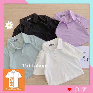 Áo croptop polo nữ