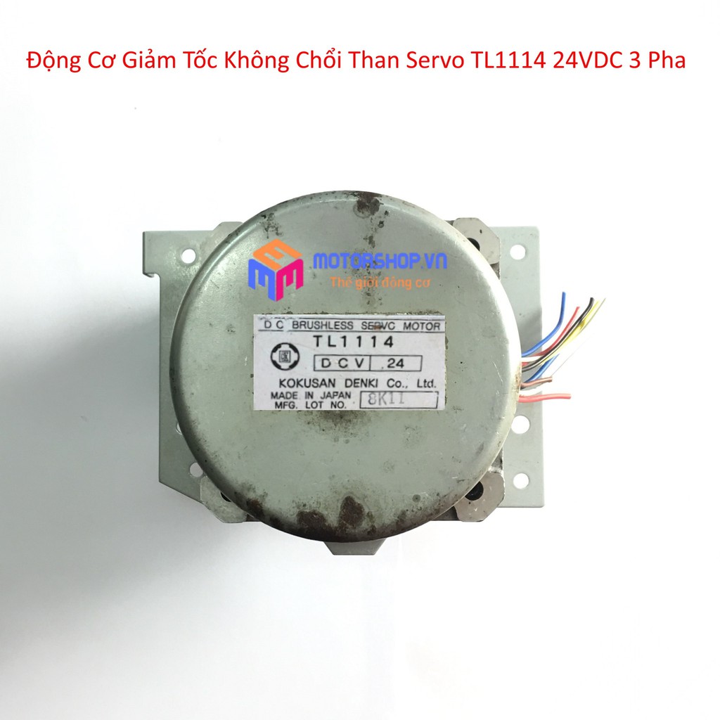 MTS Động Cơ Motor Giảm Tốc Không Chổi Than 3 Pha 12V-24V Siêu Khỏe