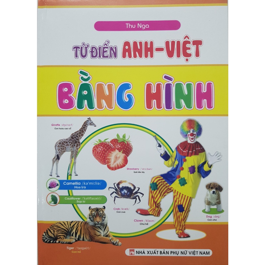 Sách - Từ điển Anh - Việt bằng hình