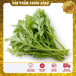 Bộ gói hạt giống Cải cúc Nếp