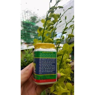 Phân bón lá Growmore 10-60-10 (8 hũ 100g)