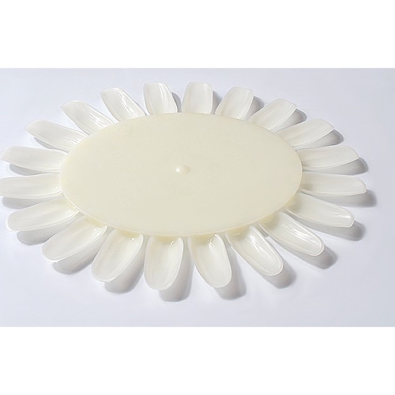 Móng mẫu tập vẽ vỉ tròn (lẻ vỉ) - Phan Dũng